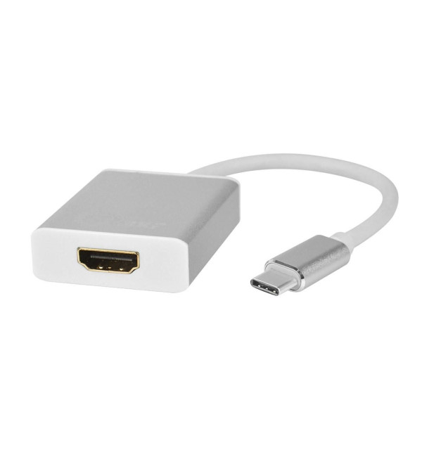 DEXTER POWERMASTER PM-18231 USB TYPE-C TO HDMI ÇEVİRİCİ KABLO