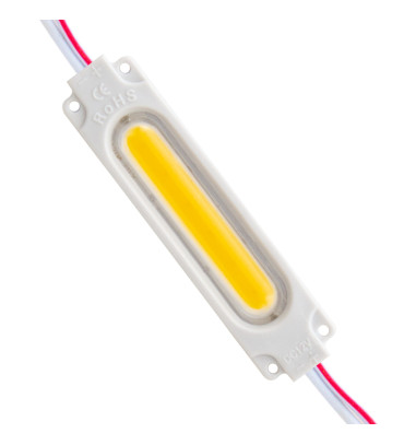 DEXTER POWERMASTER MODÜL LED 12V 2W GÜN IŞIĞI 68X16 MM