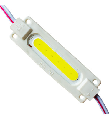 DEXTER POWERMASTER MODÜL LED 12V OVAL COB KASALI KAPAKSIZ BEYAZ 19X65 MM