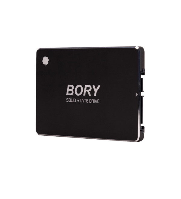 DXT BORY R500 C512G SATA3 512 GB SSD 550 510 MBS HARDDİSK