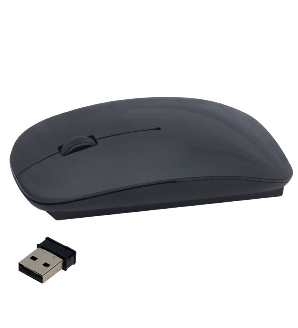 DXT DEXTER 2.4 GHZ 1600 DPI KABLOSUZ MOUSE